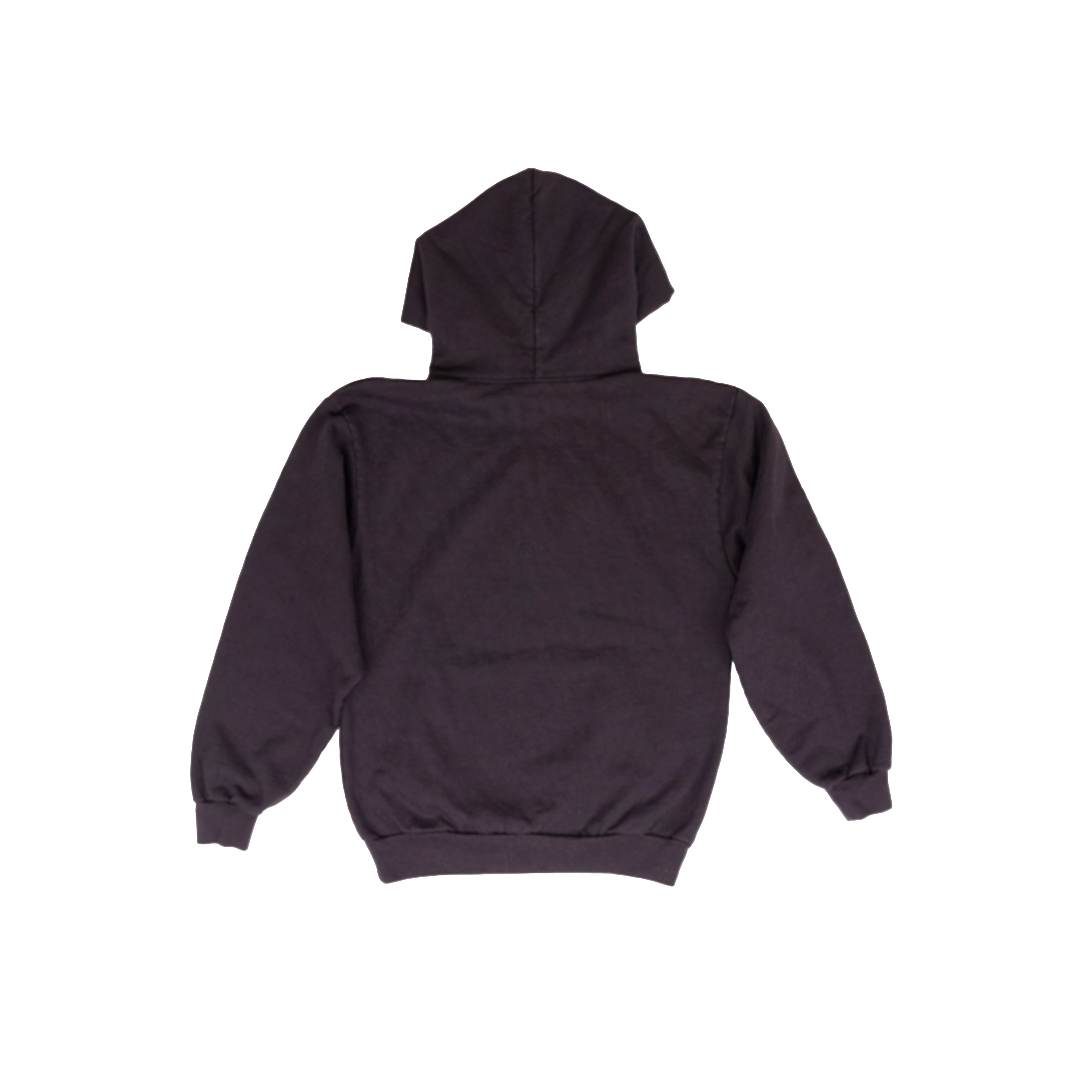 Sinclair Varsity Passion Hoodie